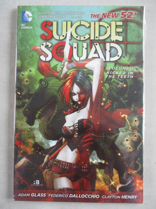 Suicide Squad Vol. 1 - Kicked in the Teeth - Paperback