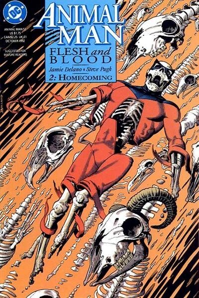 Animal Man Vol. 1 (1988-1995) #52