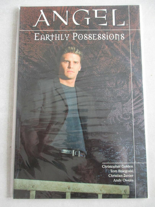 Angel - Earthly Possessions - Paperback