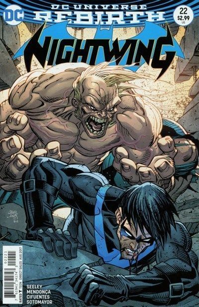 Nightwing Vol. 4 (2016-Present) #22 (Casey Jones Variant)