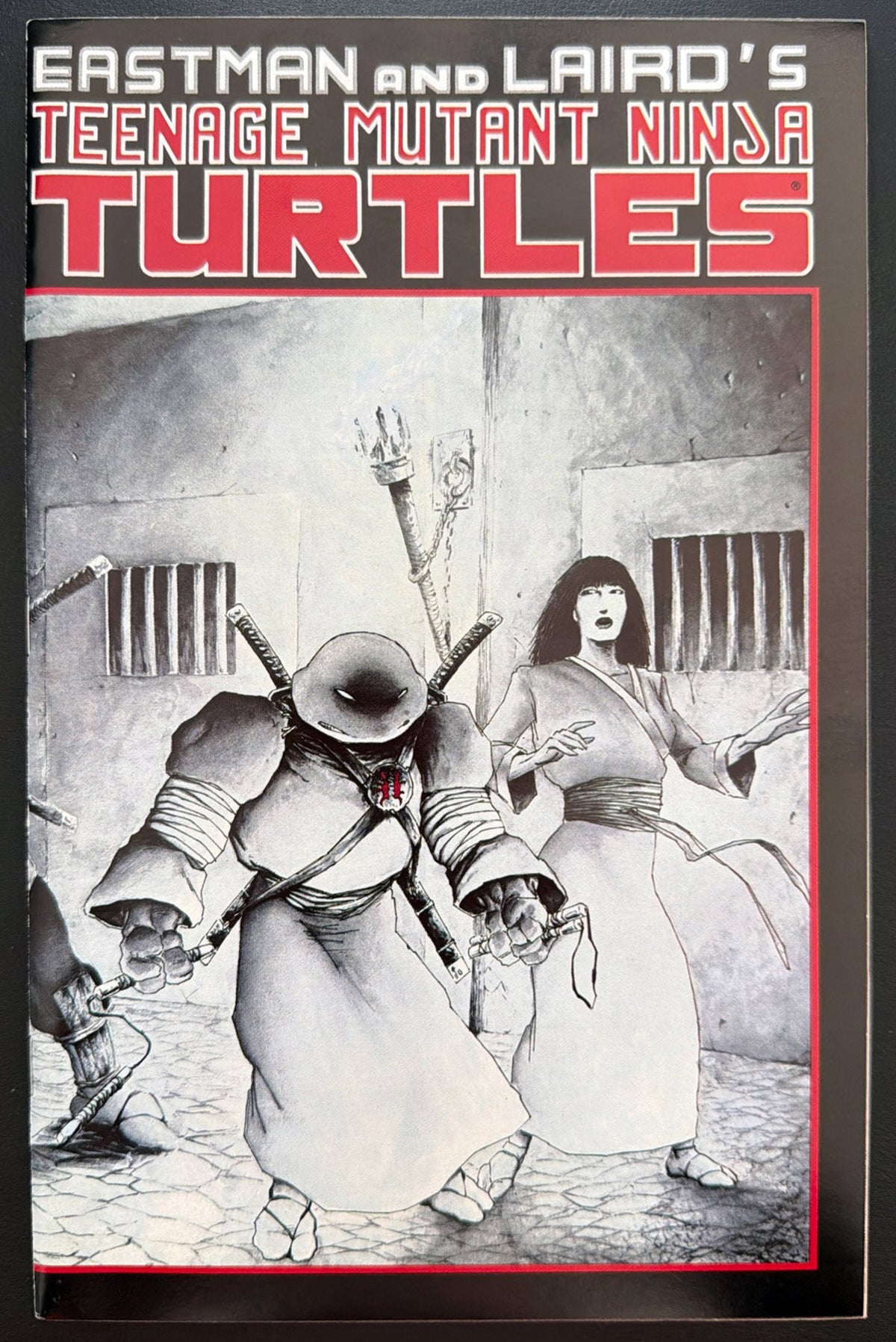 Teenage Mutant Ninja Turtles Vol. 1 #17 (1988)  