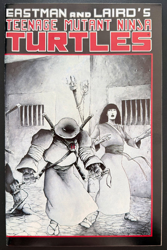 Teenage Mutant Ninja Turtles Vol. 1 #17 (1988)  