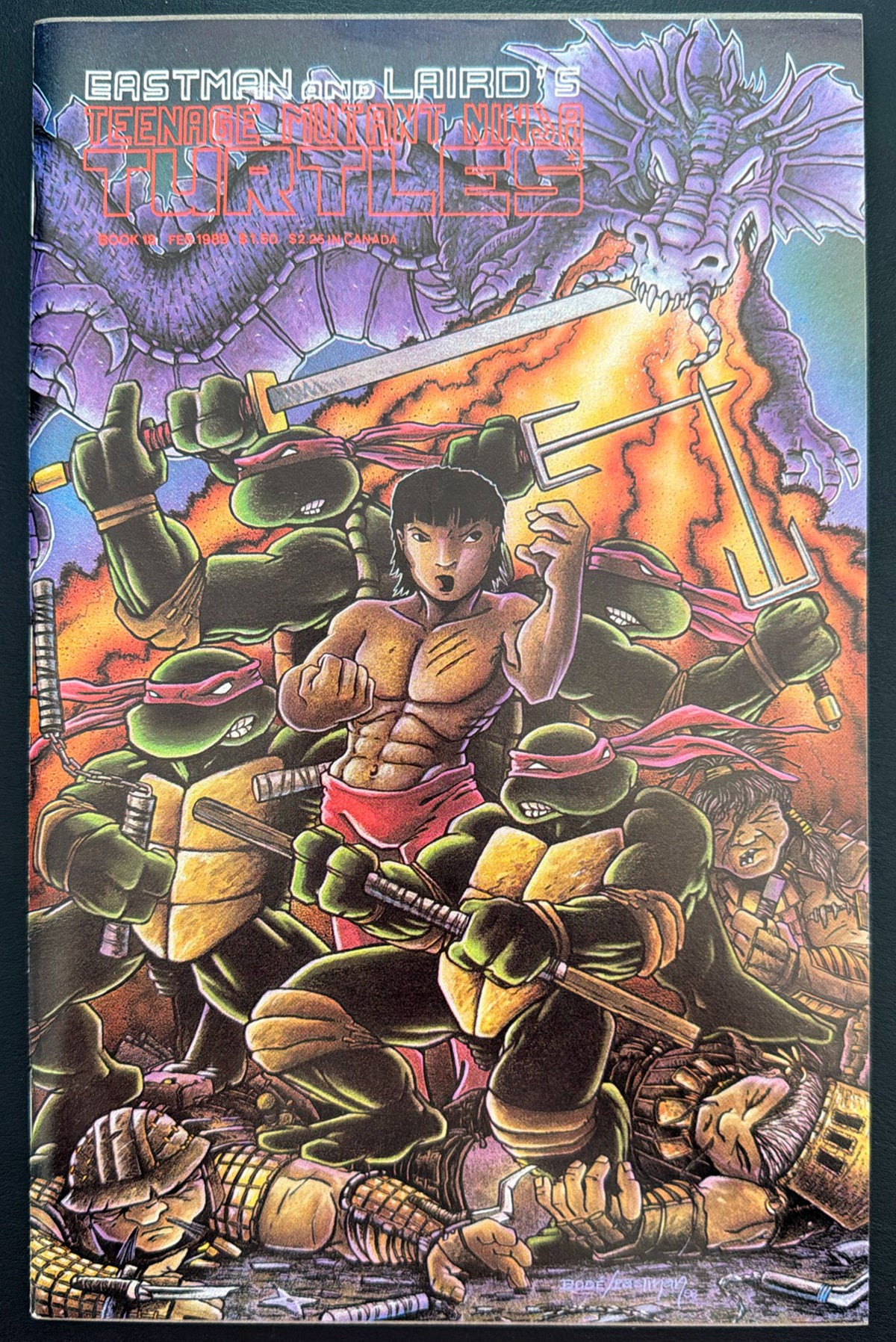 Teenage Mutant Ninja Turtles Vol. 1 #18 (1989)  