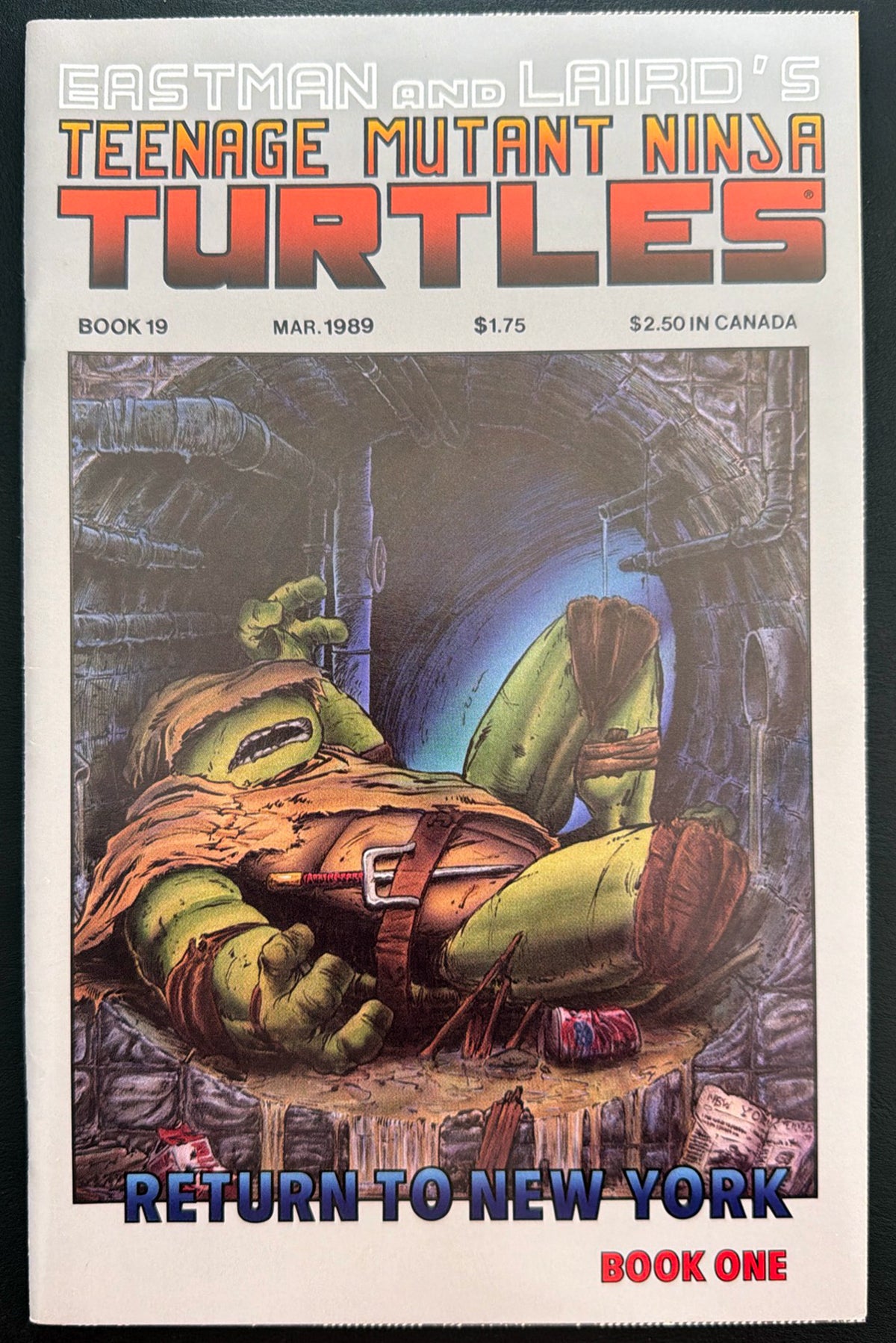 Teenage Mutant Ninja Turtles Vol. 1 #19 (1989)  