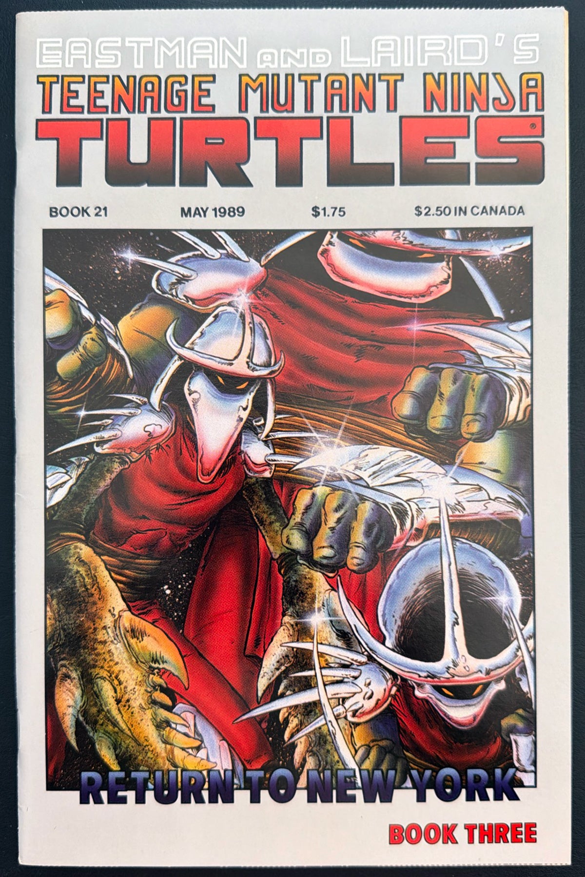 Teenage Mutant Ninja Turtles Vol. 1 #21 (1989)  