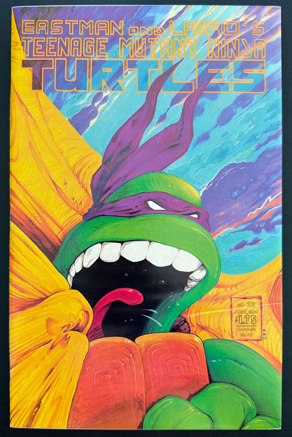 Teenage Mutant Ninja Turtles Vol. 1 #22 (1989)  