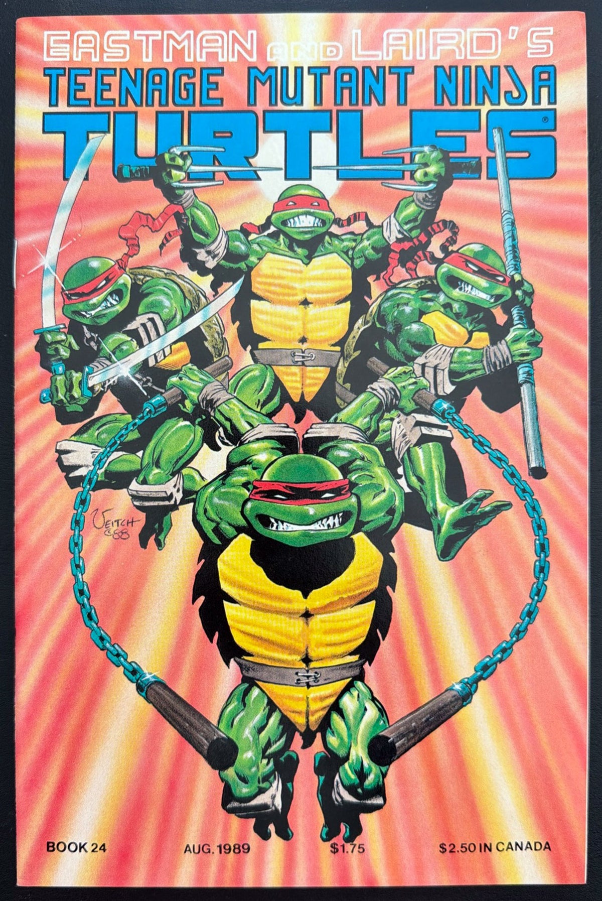 Teenage Mutant Ninja Turtles Vol. 1 #24 (1989)  