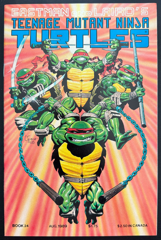 Teenage Mutant Ninja Turtles Vol. 1 #24 (1989)  