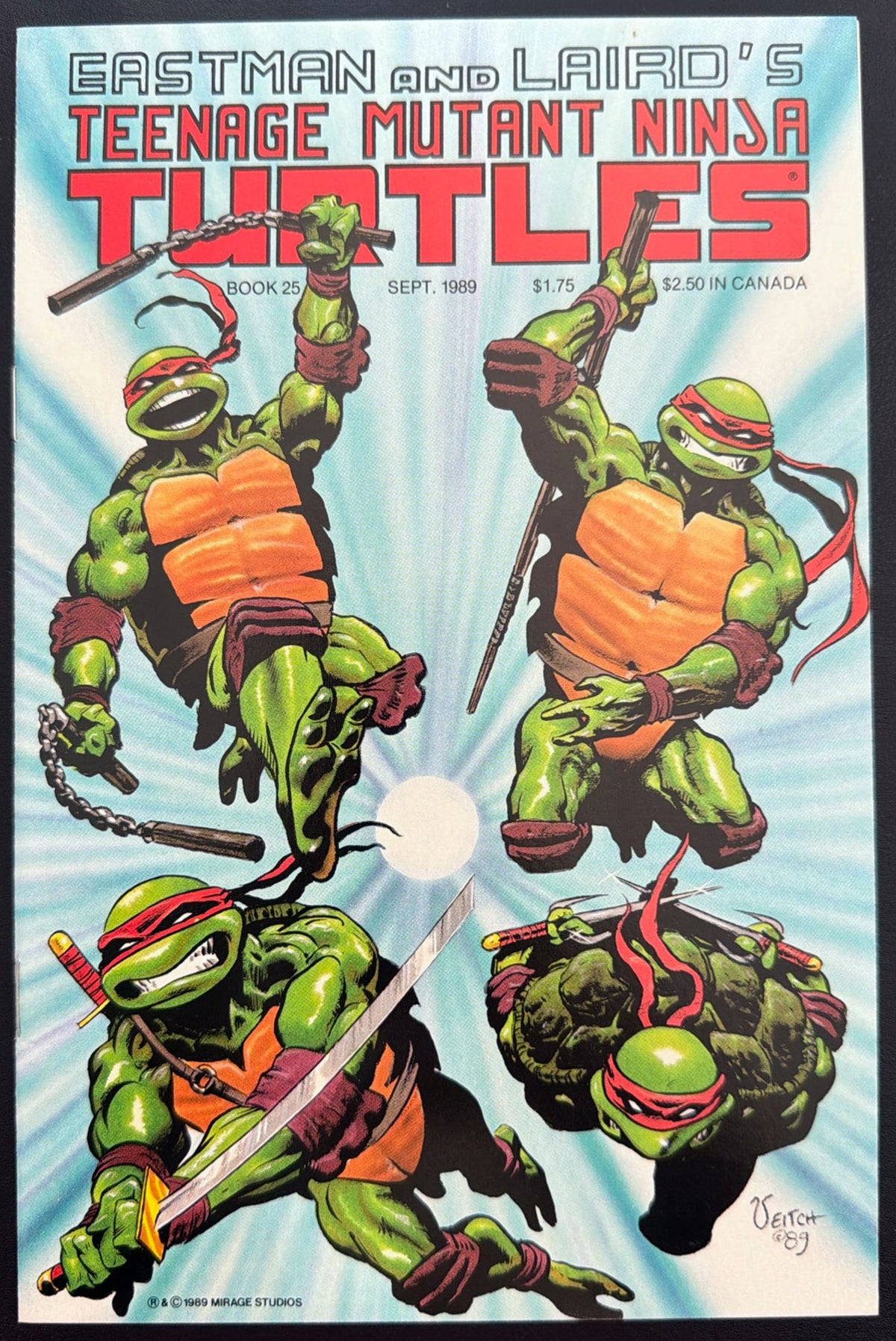 Teenage Mutant Ninja Turtles Vol. 1 #25 (1989)  