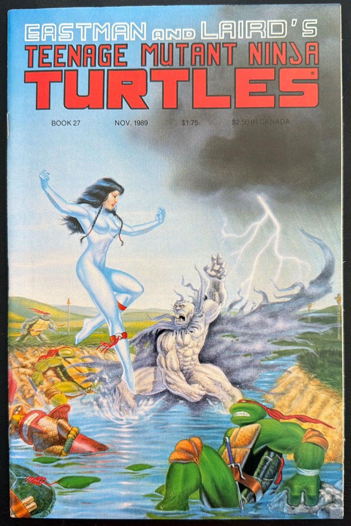 Teenage Mutant Ninja Turtles Vol. 1 #27 (1989)  