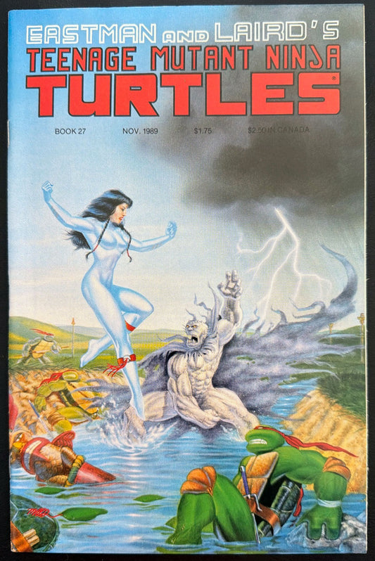 Teenage Mutant Ninja Turtles Vol. 1 #27 (1989)  