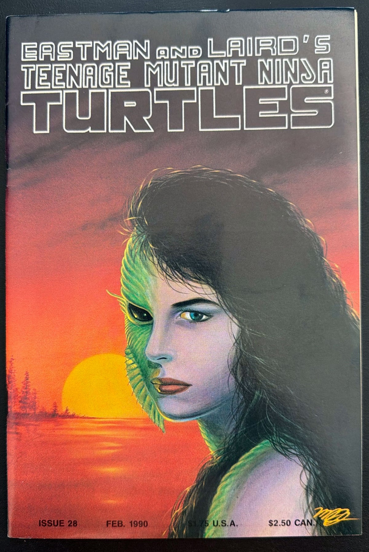 Teenage Mutant Ninja Turtles Vol. 1 #28 (1990)  