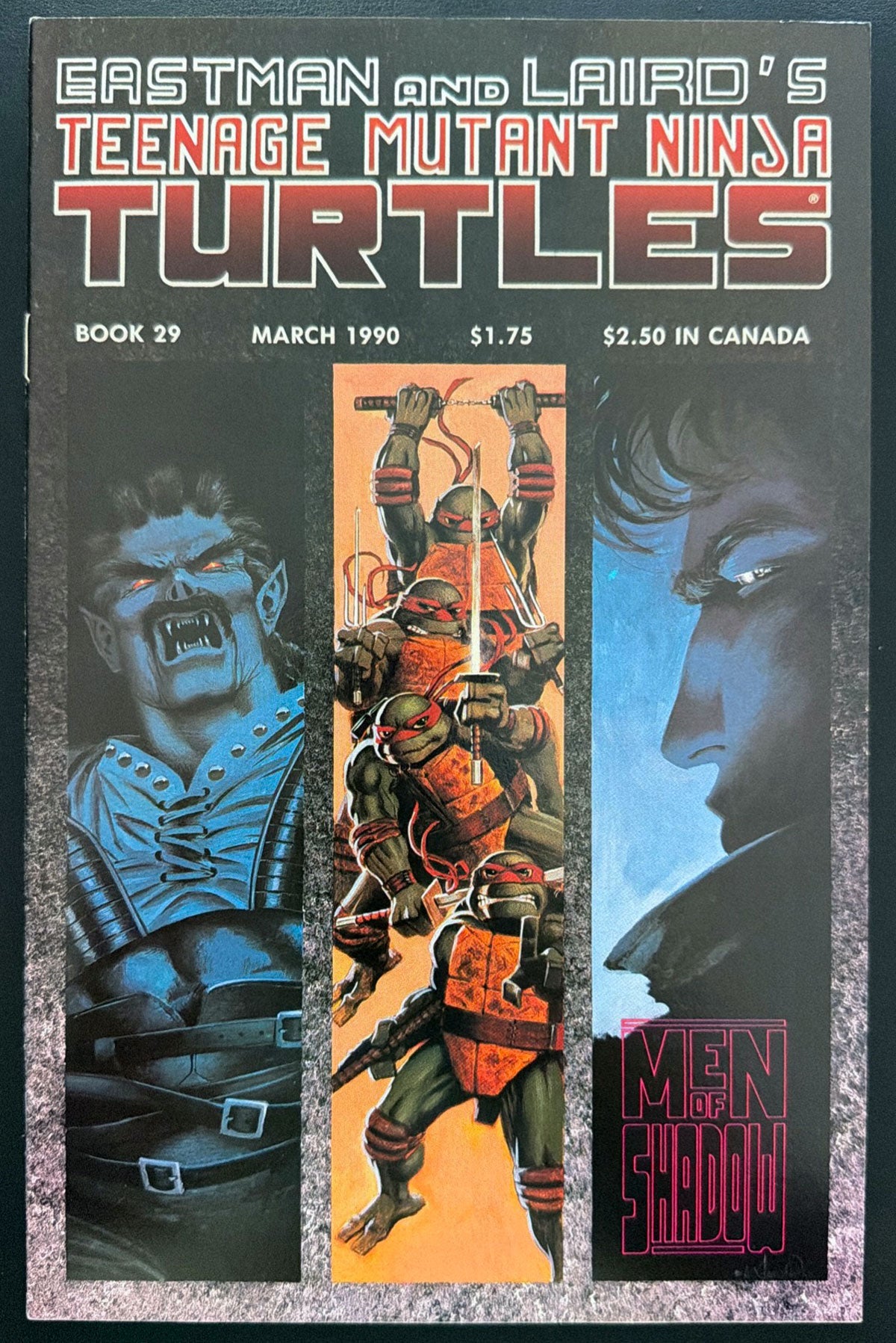 Teenage Mutant Ninja Turtles Vol. 1 #29 (1990)  