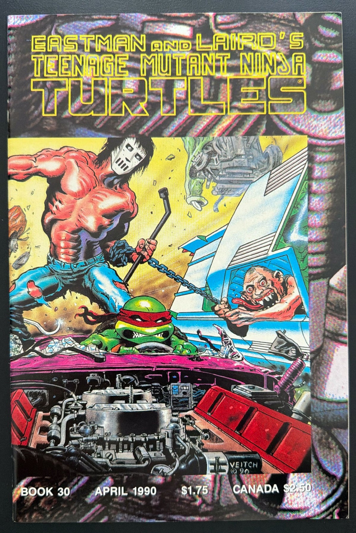 Teenage Mutant Ninja Turtles Vol. 1 #30 (1990)  