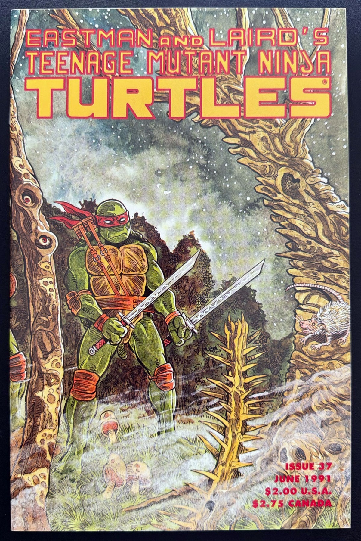 Teenage Mutant Ninja Turtles Vol. 1 #37 (1991)  