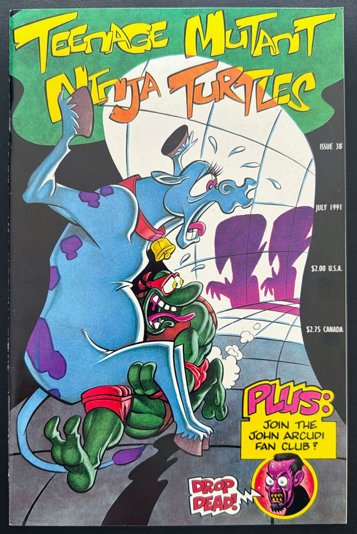 Teenage Mutant Ninja Turtles Vol. 1 #38 (1991)  