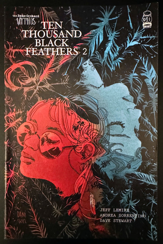 Bone Orchard: Ten Thousand Black Feathers Vol. 1 #2 (2022) - Cover B variant 